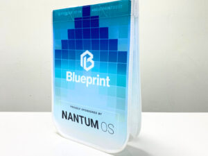 PP Non-Woven Blue Reusable Shopping Bag with Branding Print - K021