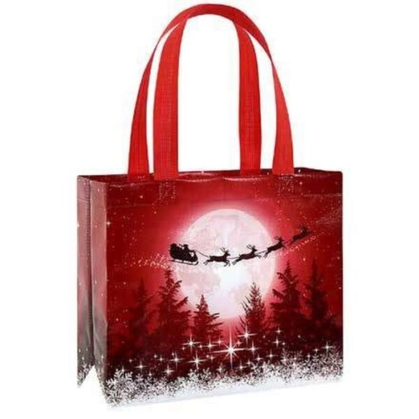 PP Non Woven Handle Bag
