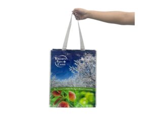 reusable gift bags bulk