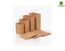 PAPER BAGS WITH TWISTED HANDLES