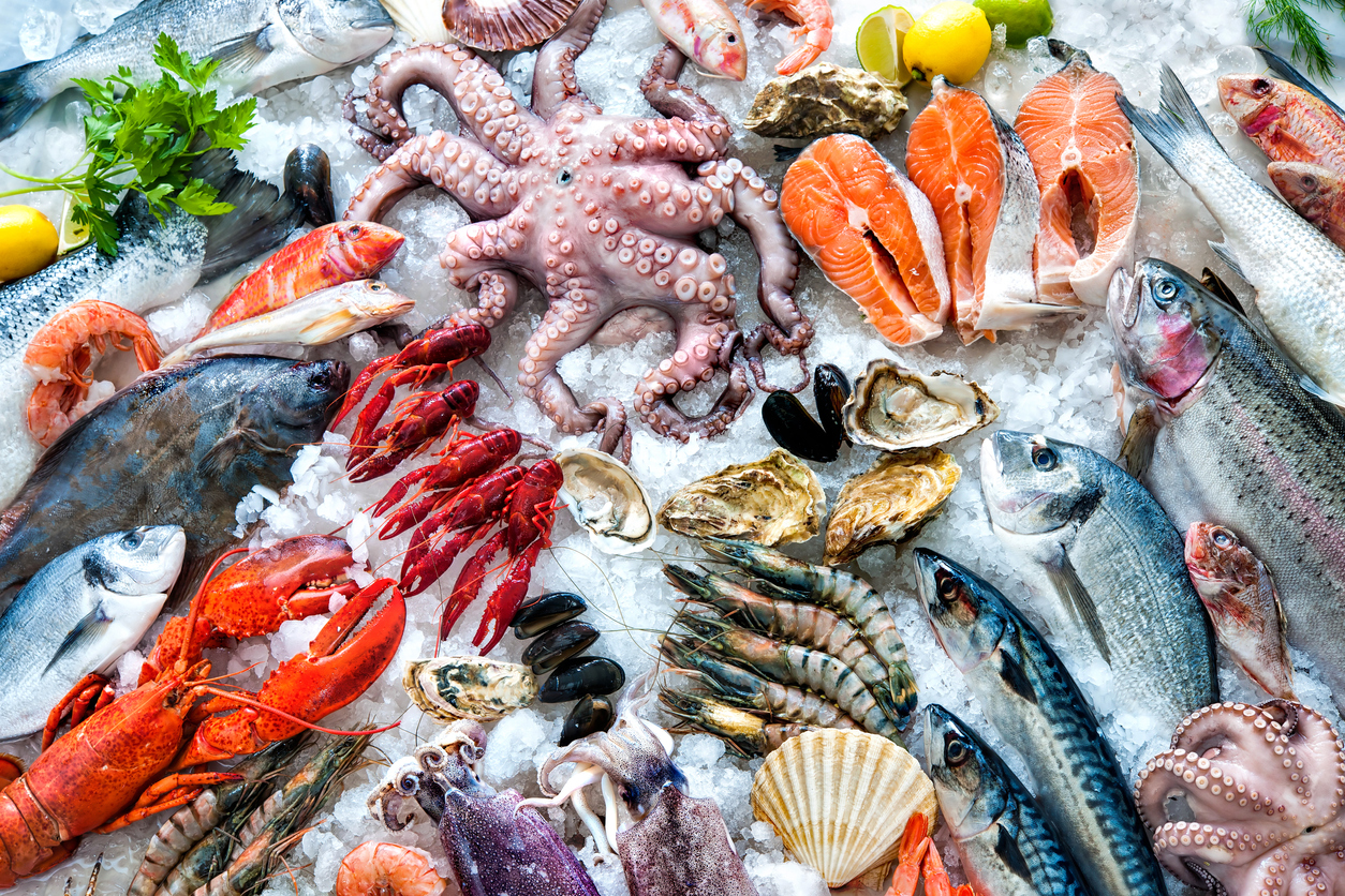 Fish and Seafood Storage with Cooler Bags