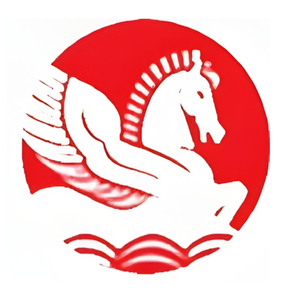 shopping bags manufacturers in india